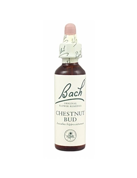 Suplement diety Bach Chestnut Bud 20 ml (5000488103830)