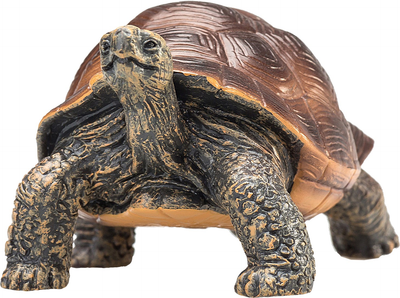 Фігурка Mojo Animal Planet Giant Tortoise Large 3.5 см (5031923872592)