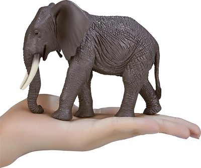 Figurka Mojo Wildlife African Elephant 13.5 cm (5031923871892)