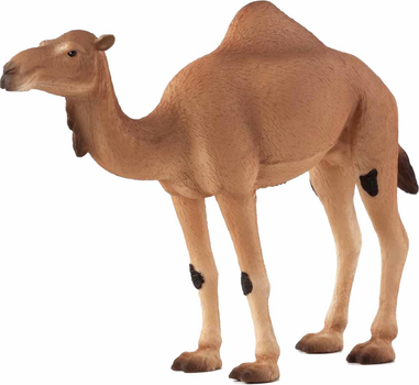 Фігурка Mojo Wildlife Arabian Camel 12 см (5031923871137)