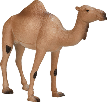 Фігурка Mojo Wildlife Arabian Camel 12 см (5031923871137)