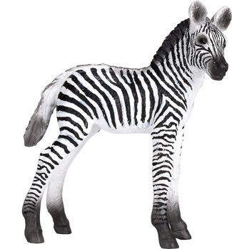 Figurka Mojo Zebra Foal Medium 8 cm (5031923873940)