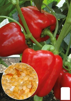 На развес Перец "Доминатор" Agro-Market цена за 1г (178060)