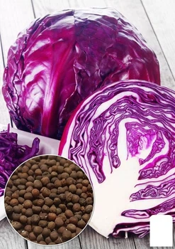 На развес Капуста краснокочанная "Кода" Agro-Market цена за 2г (178062)