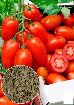 На развес Томат "Сэр Элиан" Agro-Market цена за 1г (178263)