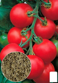 На развес Томат "Запуняка" Agro-Market цена за 1г (178487)