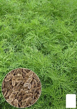 На вагу Кріп "Кустовий" Agro-Market ціна за 20г (13352)