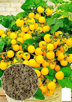 На развес Томат "Ацтек" Agro-Market цена за 1г (178492)
