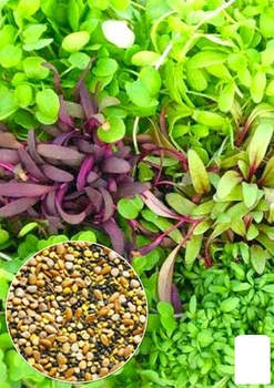 На развес Микрозелень "Смесь" Agro-Market цена за 20г (52221)