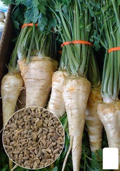 На вагу Петрушка коренева Agro-Market ціна за 5г (13349)