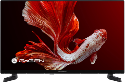 Телевизор GoGEN TVH32P320T (GOG-TVH32P320T)