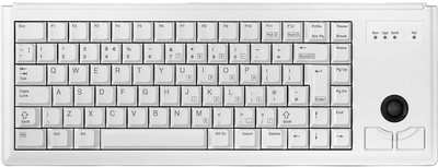 Клавіатура дротова Cherry G84-4400 US-Layout Beige (4025112026362)