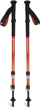 Kije trekkingowe Black Diamond Trail Back Burnt Sienna 1 para 100 do 140 cm (100031727)