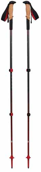 Kije trekkingowe Black Diamond Pursuit Shock M/L szare/czerwone 1 para 125-140 cm (1879410)