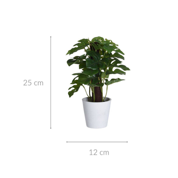 Sztuczna monstera w doniczce Home Styling Collection 25 cm (5902973440836)