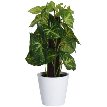 Sztuczne syngonium w doniczce Home Styling Collection 25 cm (5902973440843)