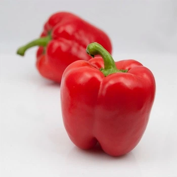 Семена сладкого перца Экла F1, Syngenta, 50 шт.