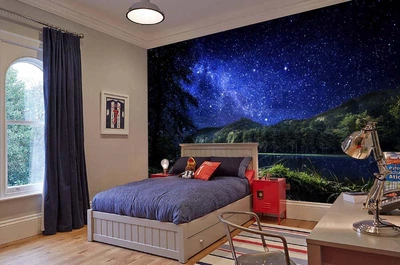 3D Фото Обои PHOTODECOR "Звездное небо над лесом"