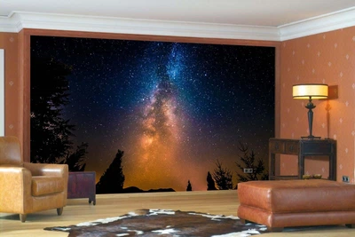 3D Фото Обои PHOTODECOR "Млечный путь 2" 1 кв.м.