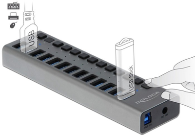 USB-хаб Delock External Hub with 13 Ports + Switch Grey (4043619637386)