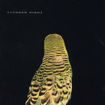 Музичний CD диск Andrew Bird – Armchair Apocrypha (Фірмовий)