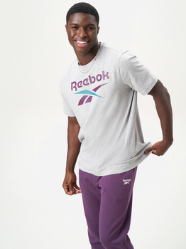 Футболка бавовняна чоловіча Reebok Identity Big Logo Tee 100206031 L Сіра (1200143952900)