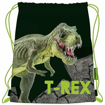 Worek na obuwie St.Majewski T-Rex (5903235650536)