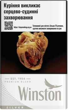 Блок сигарет Winston True Silver x 10 пачек (4820000539500)
