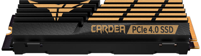 SSD диск Team Group CARDEA A440 1TB M.2 2280 PCIe 4.0 x4 3D NAND TLC (TM8FPZ001T0C327)