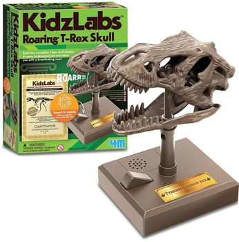 Zestaw doświadczalny 4M Kidzlabs Ryczaca czaszka T-Rex (4893156033994)