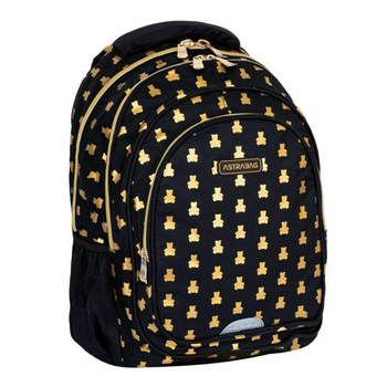 Рюкзак Astrabag AB300 Golden Teddy двокамерний (5901137224091)