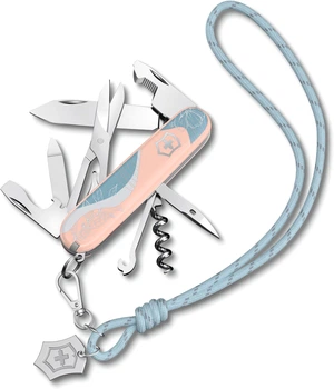 Нож Victorinox Companion Paris Style Pink (Vx13909.E221)