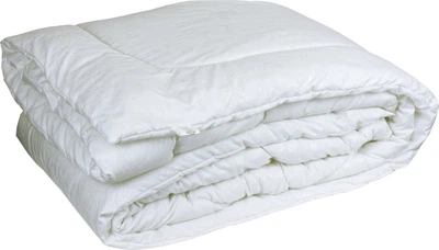 Одеяло Premium Soft перкаль 200х220см микропух