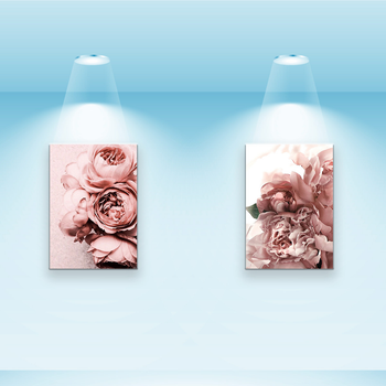 Серія постерів Riviera Blanca Сяючі півонії 28x40 см х 2 шт (PS-020)