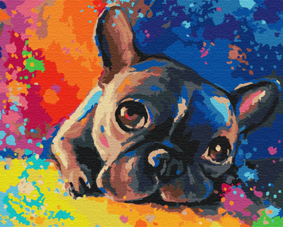 Картина по номерам Цветной бульдог (PBS28895) Premium Brushme 40x50 см