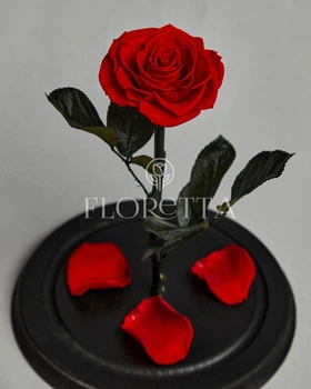 Вечная роза в колбе красная 31*17 см L