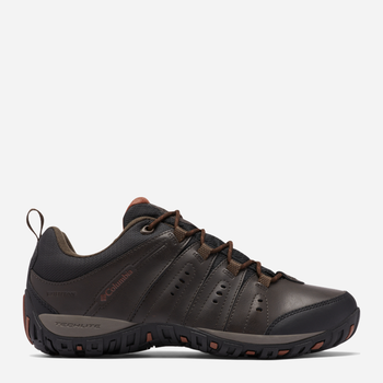 Buty sportowe trekkingowe męskie Columbia Woodburn II Waterproof 1553001232 43.5 (10.5US) Brązowy/Czarny (195981594720)