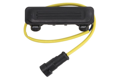 Кнопка відчинення задніх дверей Fiat Fiorino II 2010-6010-07-046417P BLIC (Польща)