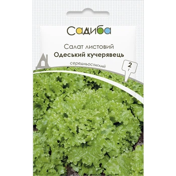 Салат Одесский кучерявець, 2 г, СЦ Традиция