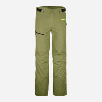 Горнолыжные брюки мужские Mesola Pants M