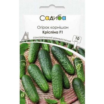 Огурец Криспина F1, 10 шт, Садыба