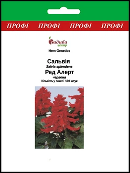 Сальвия Ред Алрет, 100 шт Садиба Центр