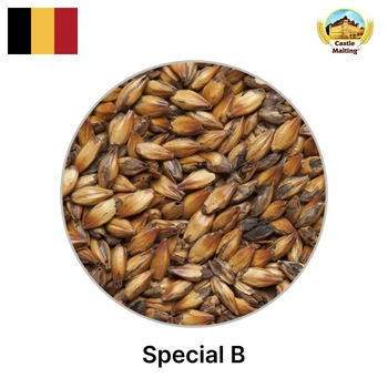 Солод Castle Malting Шато Спешл Би (SPECIAL B), 1 кг