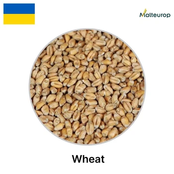 Солод Wheat (пшеничный), 1 кг