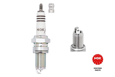 Свеча зажигания NGK 5545 (DPR9EIX-9)