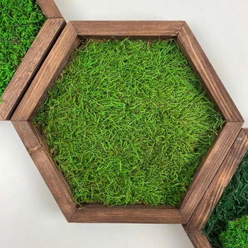 Сота зі стабілізованим Плоским мохом розмір 18х15 дерев'яна рамка Natural Wood