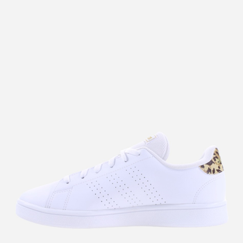 Tenisówki damskie z eko skóry adidas Advantage Base H03791 36 Biały/Beżowy (4066748830947)