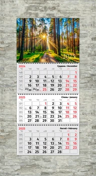 Календарь настенный квартальный Природа ENTERSTORE 63,0х29.7 см (ART 250321)