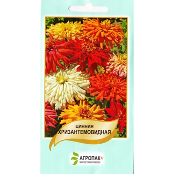 Семена цветов Цинния Хризантемовидная, смесь, Legutko, 0.5 г.