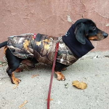 Теплий водонепроникний одяг для собак. Попон для такс. Your Stylish Hunter. Active Dog-forest. SKU 00245. Розмір M